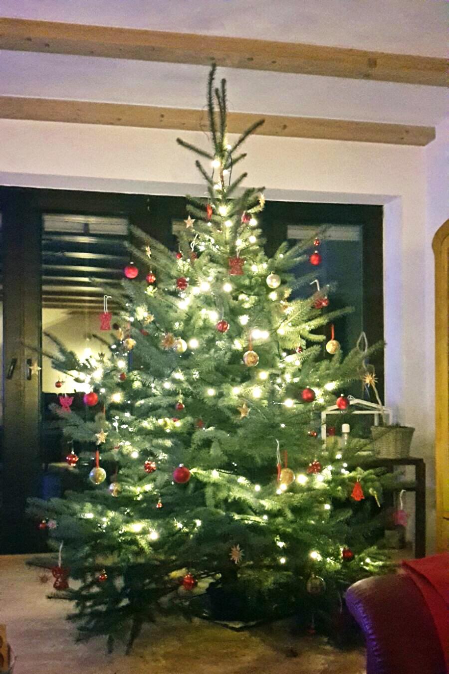 Unsere Weihnachtsbäume - schön geschmückt - Weihnachtsbäume vom Bauernhof