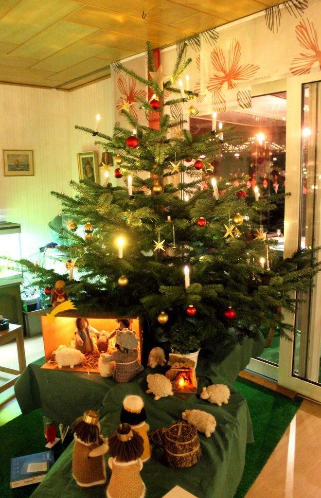 Unsere Weihnachtsbäume - schön geschmückt - Weihnachtsbäume vom Bauernhof