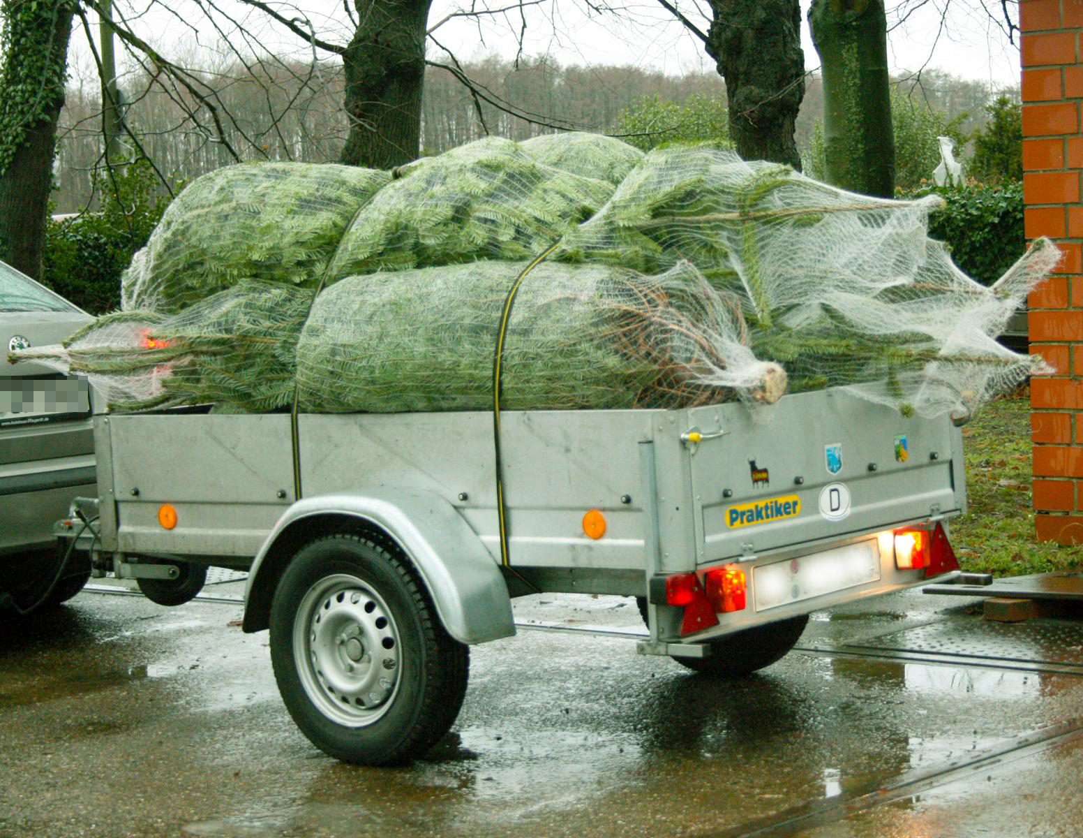 Abtransport von Weihnachtsbäumen